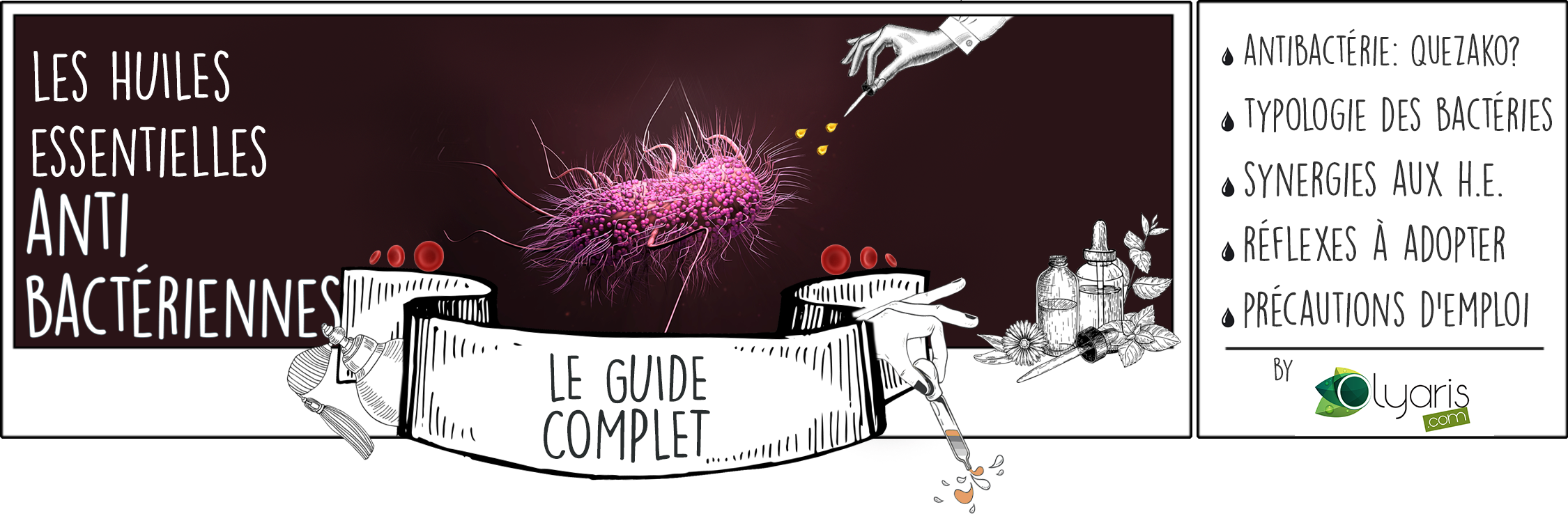 Les Huiles Essentielles Antibactériennes : le Dossier Complet par Olyaris